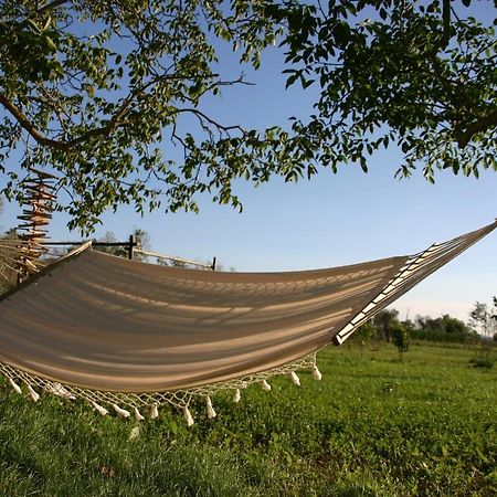 I Fichi Bianchi Bed & Breakfast คูโตรฟิอาโน ภายนอก รูปภาพ
